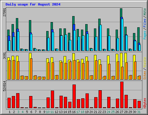 Daily usage for August 2024