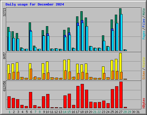 Daily usage for December 2024