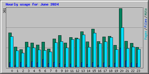 Hourly usage for June 2024