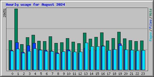 Hourly usage for August 2024