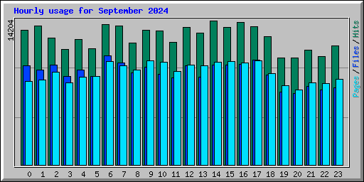 Hourly usage for September 2024