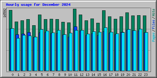 Hourly usage for December 2024