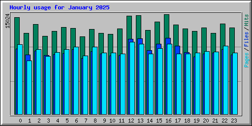 Hourly usage for January 2025