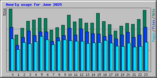 Hourly usage for June 2025