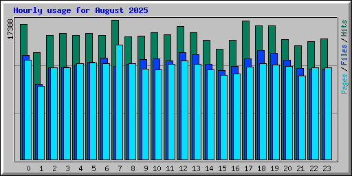 Hourly usage for August 2025