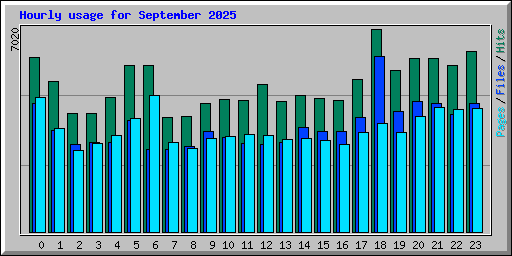 Hourly usage for September 2025