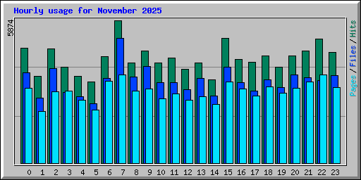 Hourly usage for November 2025