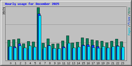 Hourly usage for December 2025