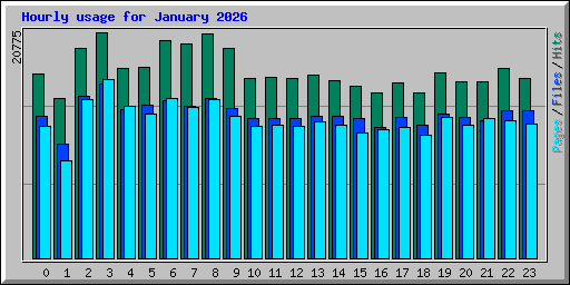 Hourly usage for January 2026