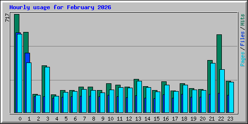Hourly usage for February 2026