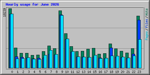 Hourly usage for June 2026